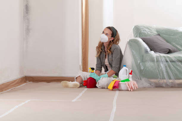 Reliable Mold Remediation contractor in Bloomfield, NY by WQB Mold Removal